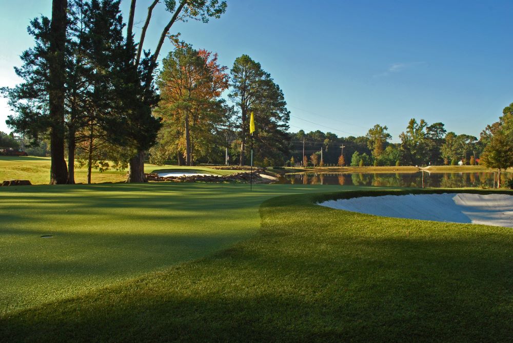 Los Angeles and Southern California Artificial Turf Golf Course