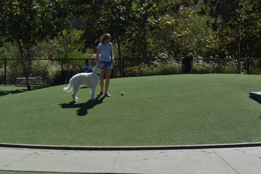 Woman playing with her dog on a clean, durable lawn featuring artificial turf for dogs, designed for safe play, easy drainage, and low-maintenance pet-friendly landscaping.