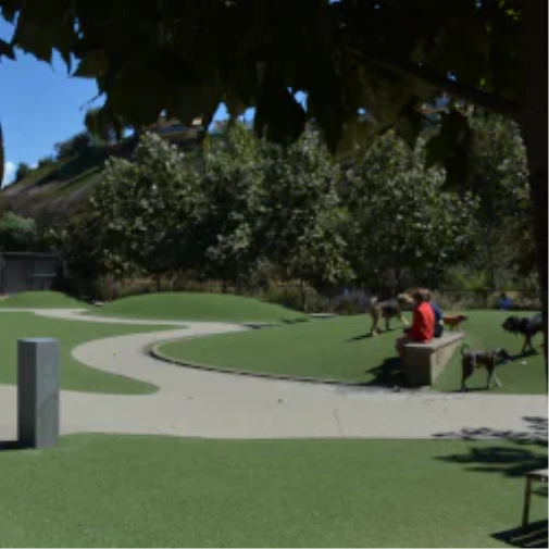 What to Know Prior to When You Spec a Dog Park Surface in Los Angeles and Southern California