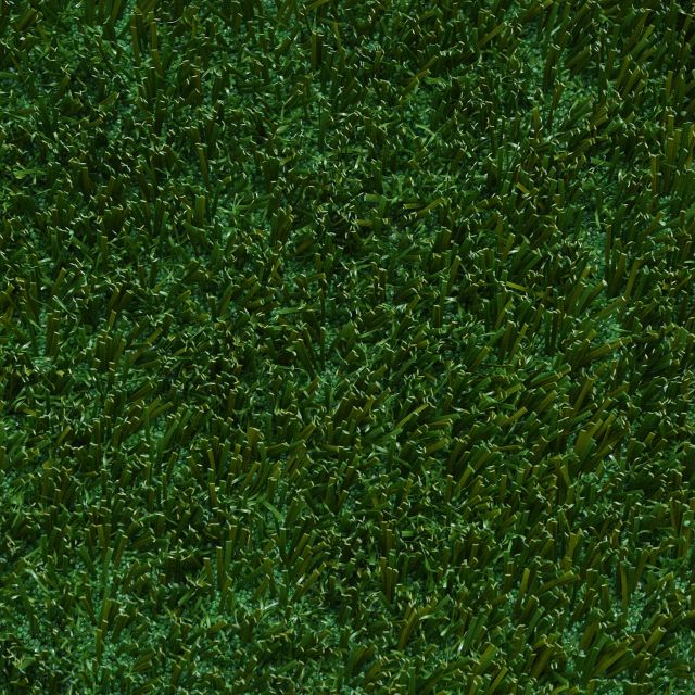 GB113_Olive_302 GB113_Olive_302