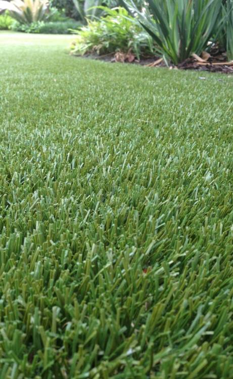 Los Angeles artificial grass