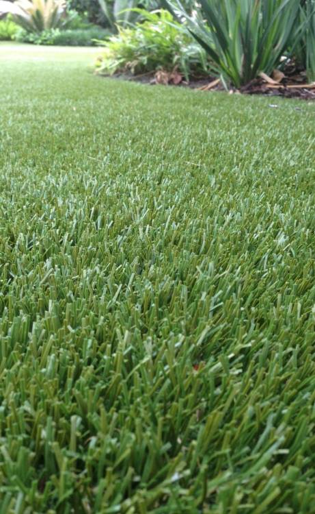 Los Angeles and Southern California artificial grass