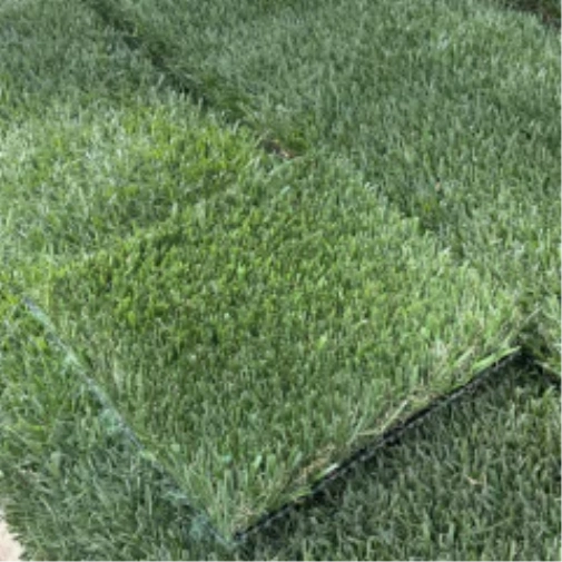 Introducing Wide Blade Turf in Los Angeles and Southern California