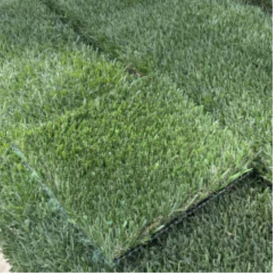 Introducing Wide Blade Turf in Los Angeles and Southern California