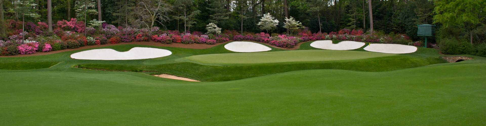 Lush home putting green inspired by PGA Tour course design with contoured fairways, white sand bunkers, and blooming azalea landscaping along the tree line