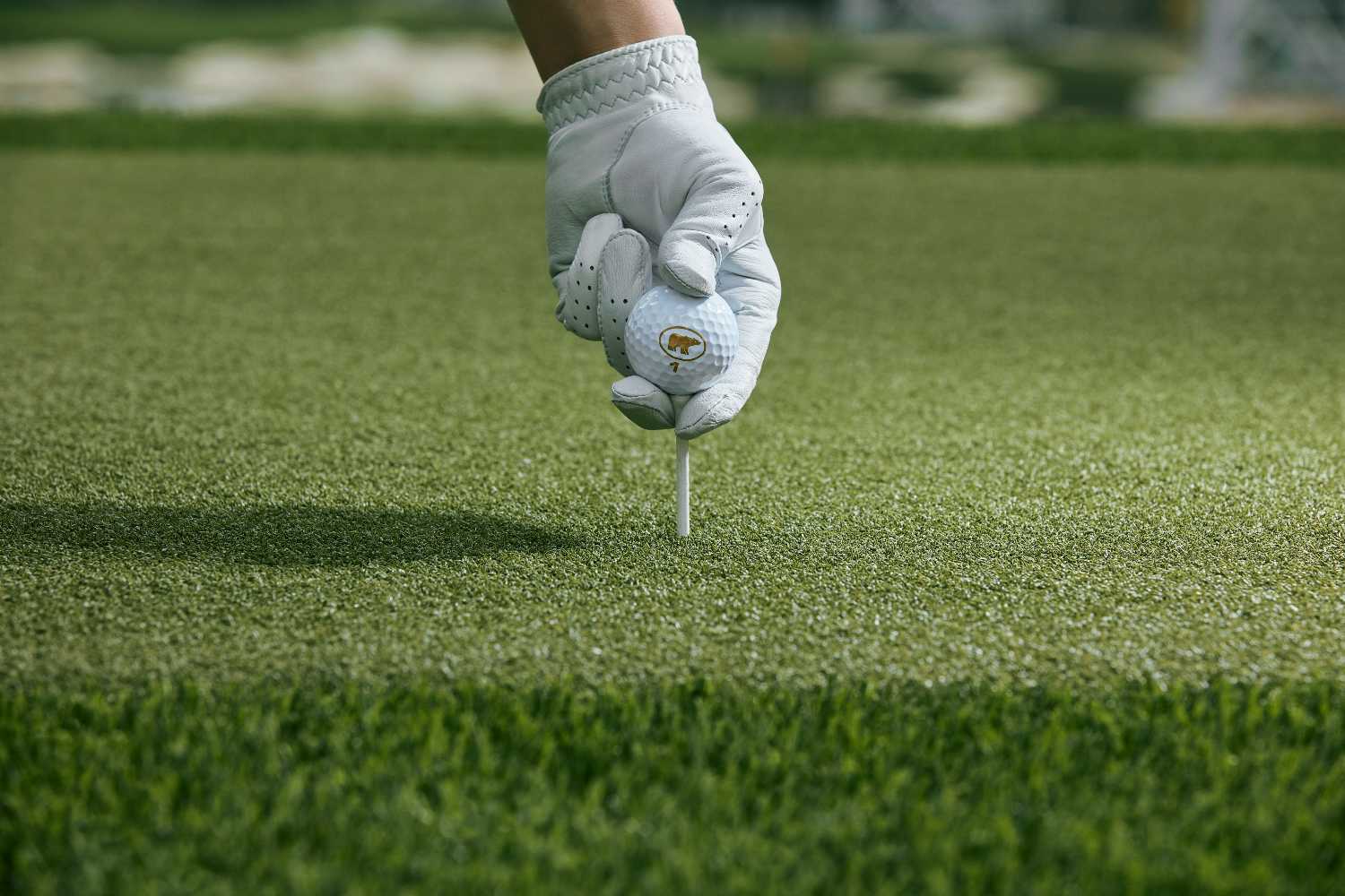 Los Angeles driving range