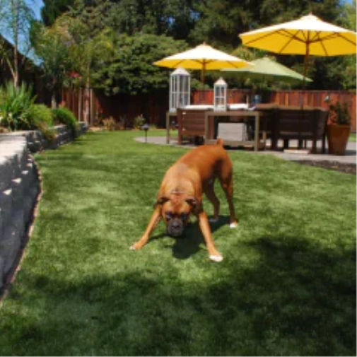 Ways fake grass for dogs Upgrades Your Los Angeles and Southern California Outdoor Space