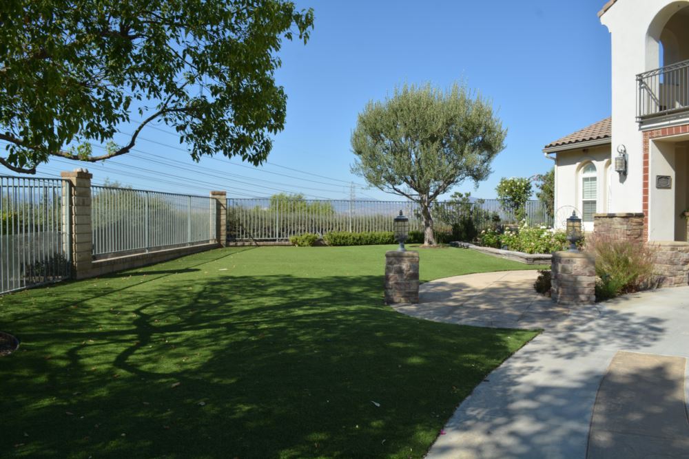Olive tree and artificial turf lawn with wrought iron fencing and hillside views